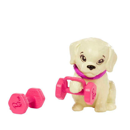 Barbie Doll With Puppy, Workout Outfit, Roller Skates And Tennis
